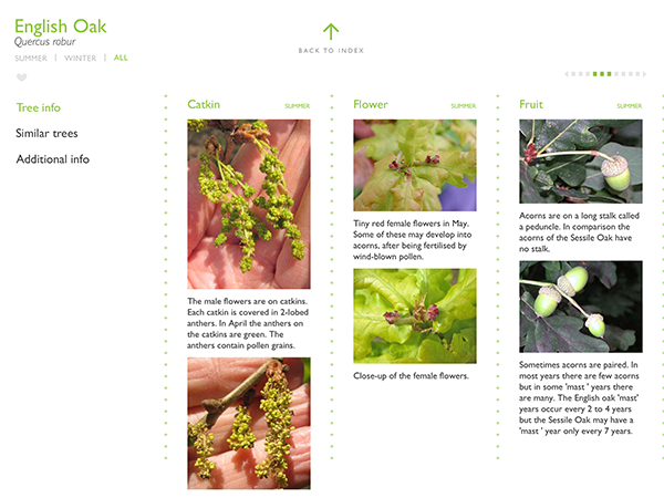 Tree Info Screen