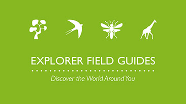 Explorer Field Guides Image